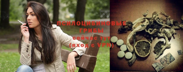 винт Баксан