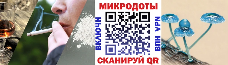 Галлюциногенные грибы Magic Shrooms  ОМГ ОМГ вход  Снежногорск 